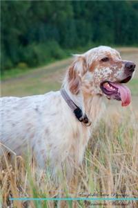 English Setter Affirmations Workbook English Setter Presents