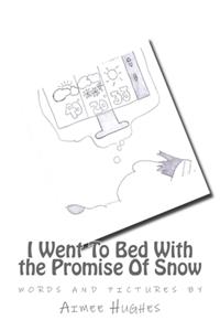 I Went To Bed With the Promise Of Snow
