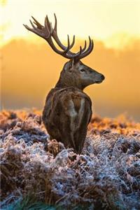 Stag in the Frost Grid Notebook