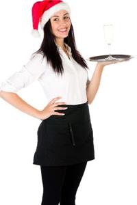 Santa Waitress Journal