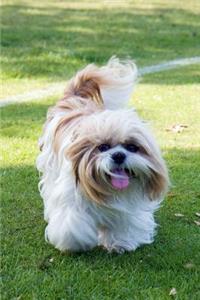 Adorable Puppy Journal