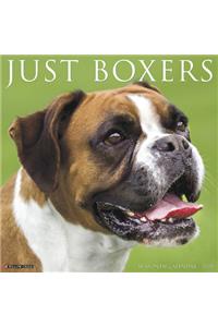 Just Boxers 2020 Wall Calendar (Dog Breed Calendar)