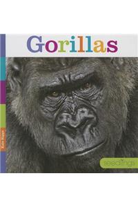 Gorillas