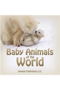 Baby Animals of the World