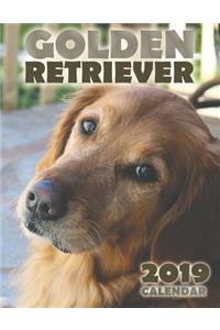 Golden Retriever 2019 Calendar