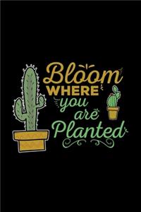 Bloom where you are planted