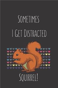 Sometimes I Get Distracted - Squirrel!