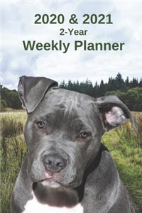 2020 & 2021 Weekly Planner - Two Year Appointment Book Gift - Two-Year Agenda Notebook for Dog Owners - 2-Year
