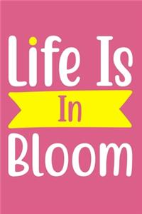 Life Is In Bloom
