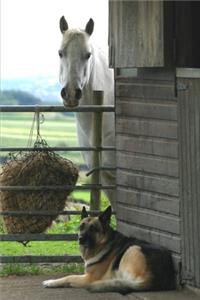 2020 Weekly Planner Horse Photo Equine Horse Dog 134 Pages