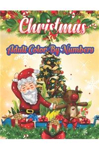 Christmas Adult Color By Numbers