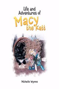 Life and Adventures of Macy the Katt