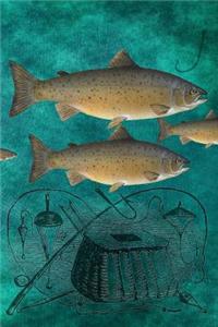 Trout Fishing Mileage Book