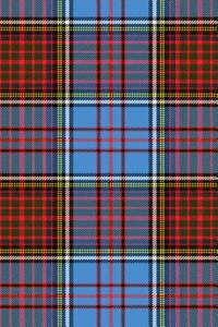 Clan Anderson Tartan 100 Page Lined Journal/Notebook