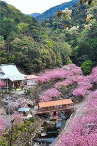 Cherry Blossoms in Oita, Japan Journal