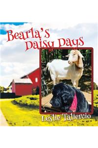 Bearla's Daisy Days