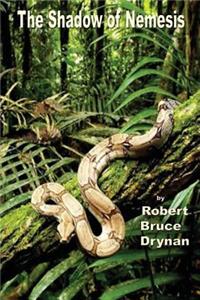 The Shadow of Nemesis