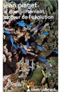 Comport Moteur de Evoli
