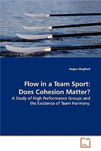 Flow in a Team Sport