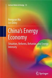 China’s Energy Economy