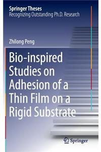 Bio-inspired Studies on Adhesion of a Thin Film on a Rigid Substrate