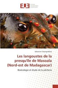 Les langoustes de la presqu'île de masoala (nord-est de madagascar)