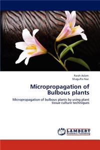 Micropropagation of Bulbous plants