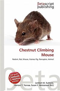 Chestnut Climbing Mouse