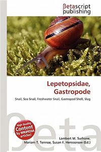 Lepetopsidae, Gastropode