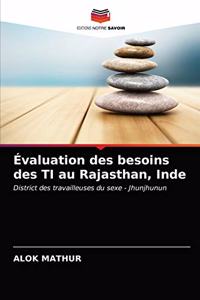 Évaluation des besoins des TI au Rajasthan, Inde