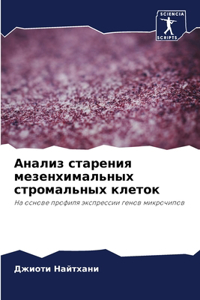 Анализ старения мезенхимальных стромаль&