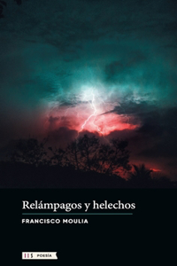 Relámpagos y helechos