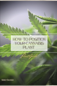 How to Position Your Cannabis Plant