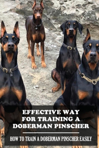 Effective Way For Training A Doberman Pinscher