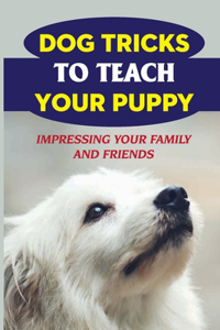 Dog Tricks To Teach Your Puppy