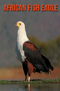 African Fish Eagle