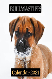 Bullmastiffs Calendar 2021