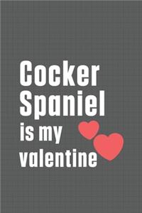 Cocker Spaniel is my valentine