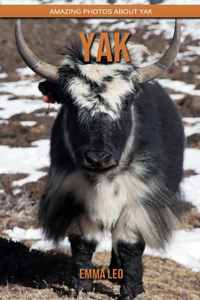 Yak