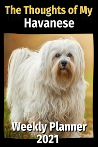 The Thoughts of My Havanese