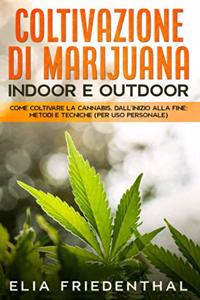 COLTIVAZIONE DI MARIJUANA indoor e outdoor