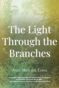 Light Through the Branches