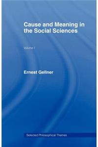 Cause and Meaning in the Social Sciences