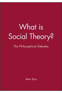 What Is Social Theory?