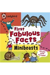 Minibeasts: Ladybird First Fabulous Facts