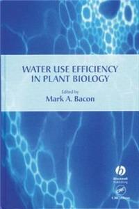 Water Use Efficiency in Plant Biology