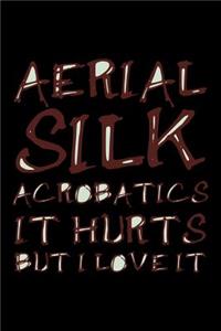 Aerial Silk Acrobatics It Hurts But I Love It