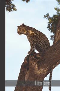 Outdoor Leopard