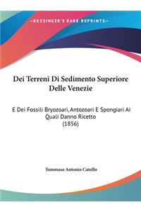 Dei Terreni Di Sedimento Superiore Delle Venezie