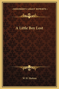 A Little Boy Lost